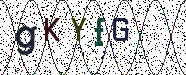 Visual Confirmation Security Code