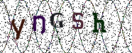 Visual Confirmation Security Code