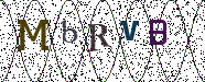Visual Confirmation Security Code